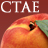 Icon for ctaeir.org