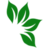 Icon for nalubaleatg.com