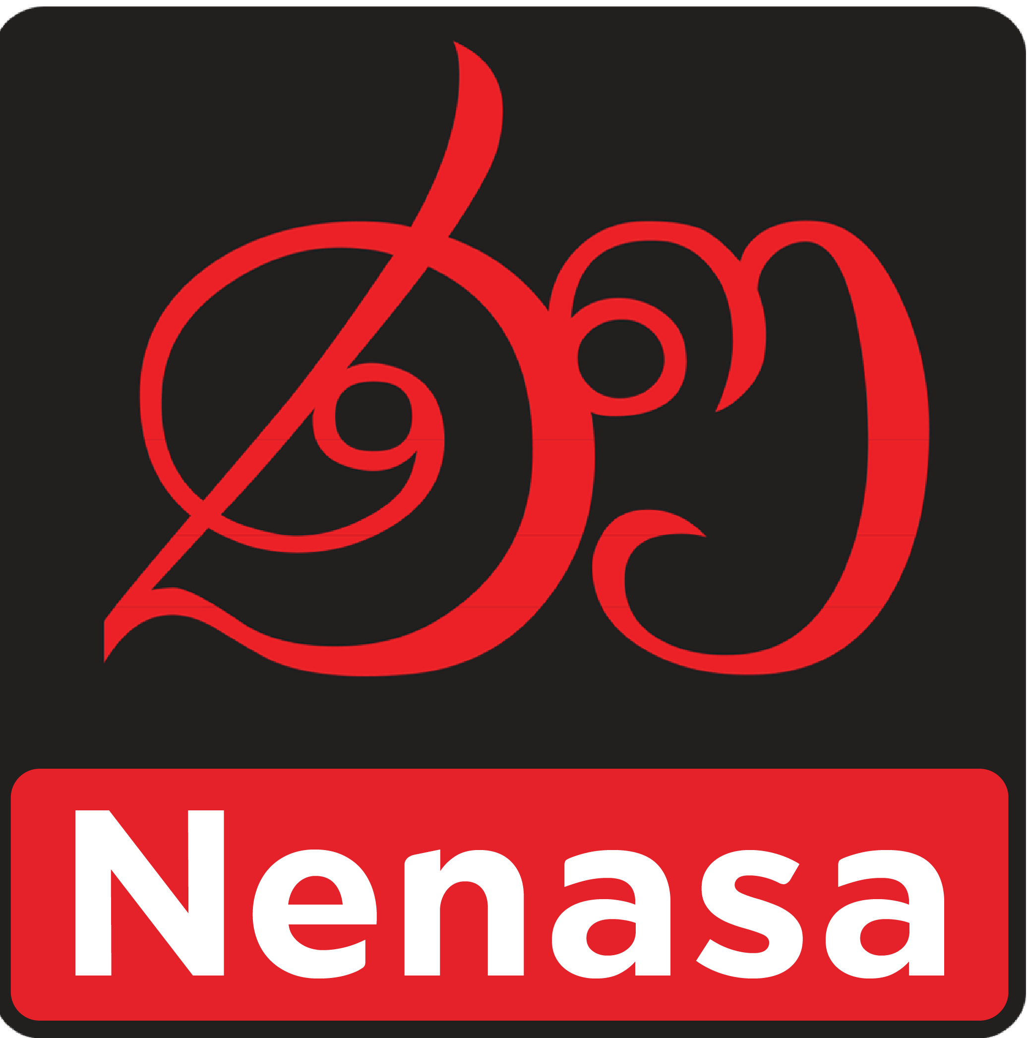 Icon for nenasa.lk