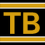 Icon for tigerboard.com