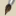 Icon for www.art-class.net