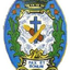 Icon for www.istitutolipani.com