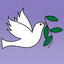Icon for www.kessingland.dneat.org