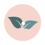 Icon for www.liveenhanced.com