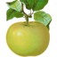 Icon for www.thecurriculumcorner.com