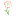 Icon for www.theseedsnetwork.com