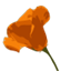 Icon for aging.ca.gov