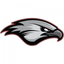 Icon for ahs.canyonsdistrict.org