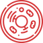 Icon for alevelbiology.co.uk