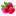 Icon for allmyfavoritetrees.com