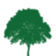 Icon for alpsychiatry.com