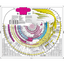 Icon for amazingbibletimeline.com
