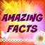 Icon for amazingfacts4u.com