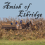 Icon for amishofethridge.com