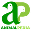 Icon for animal-pedia.org