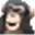 Icon for animalfactguide.com