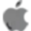 Icon for applecomputerspk.com