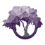 Icon for ardencoaching.com