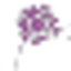 Icon for aslflurry.com