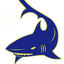 Icon for avocabeachbowlingclub.bowls.com.au