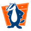 Icon for badgercabinets.com