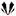 Icon for badgerextra.com