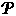Icon for baltimorecountymd.t2hosted.com