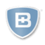 Icon for baronandbudd.com