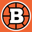 Icon for bauertology.com