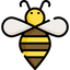 Icon for beesolver.com