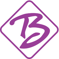 Icon for bestway.com