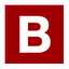 Icon for biblenow.net