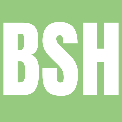 Icon for biblestorieshub.com
