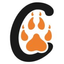 Icon for bigcatsindia.com