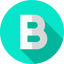 Icon for bigcitydev.com
