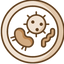 Icon for bioengineer.org