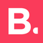 Icon for birdinflight.com
