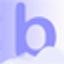 Icon for bizzzdev.com