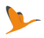 Icon for blog.authot.com
