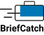 Icon for blog.briefcatch.com