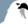 Icon for blog.fentress.com