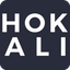 Icon for blog.hokali.co