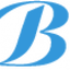 Icon for bloghong.com