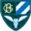 Icon for bloomfieldcollegiate.org.uk