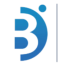 Icon for bmymarketer.com