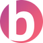 Icon for bookhype.com