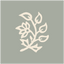 Icon for boxwoodavenue.com