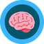Icon for brainstormmaths.com