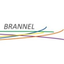 Icon for brannel.com