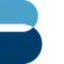 Icon for brillantlaw.com